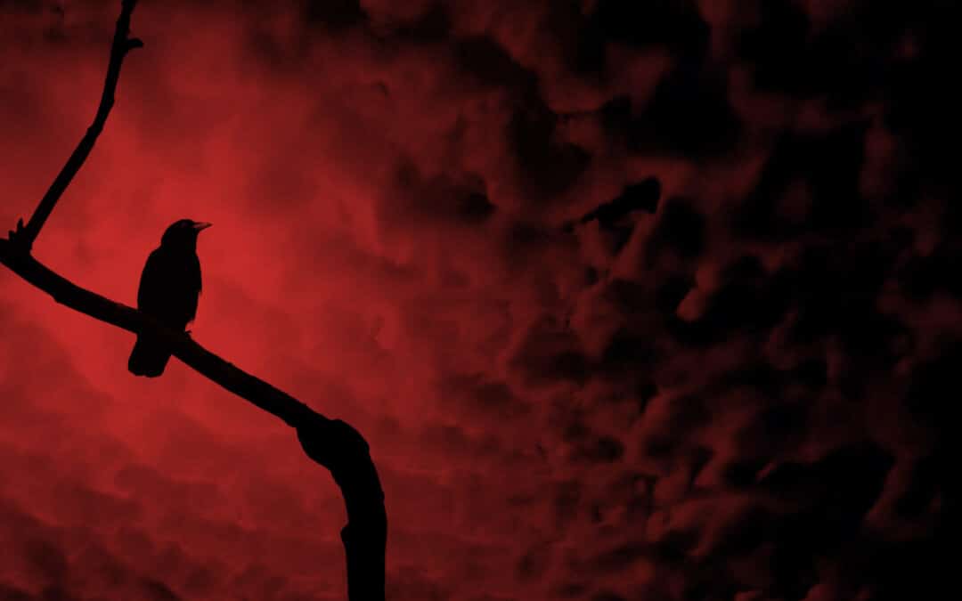 Nightfall With Edgar Allan Poe